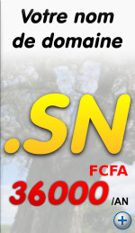 Réservez votre domaine .SN